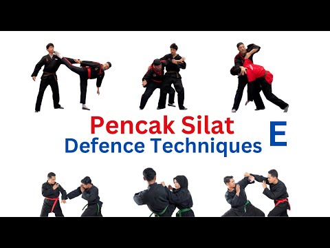 Silat Defence Techniques E