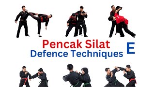 Silat Defence Techniques E