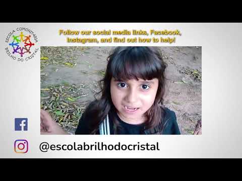 Sponsor Environmental Education of Kids in Brazil