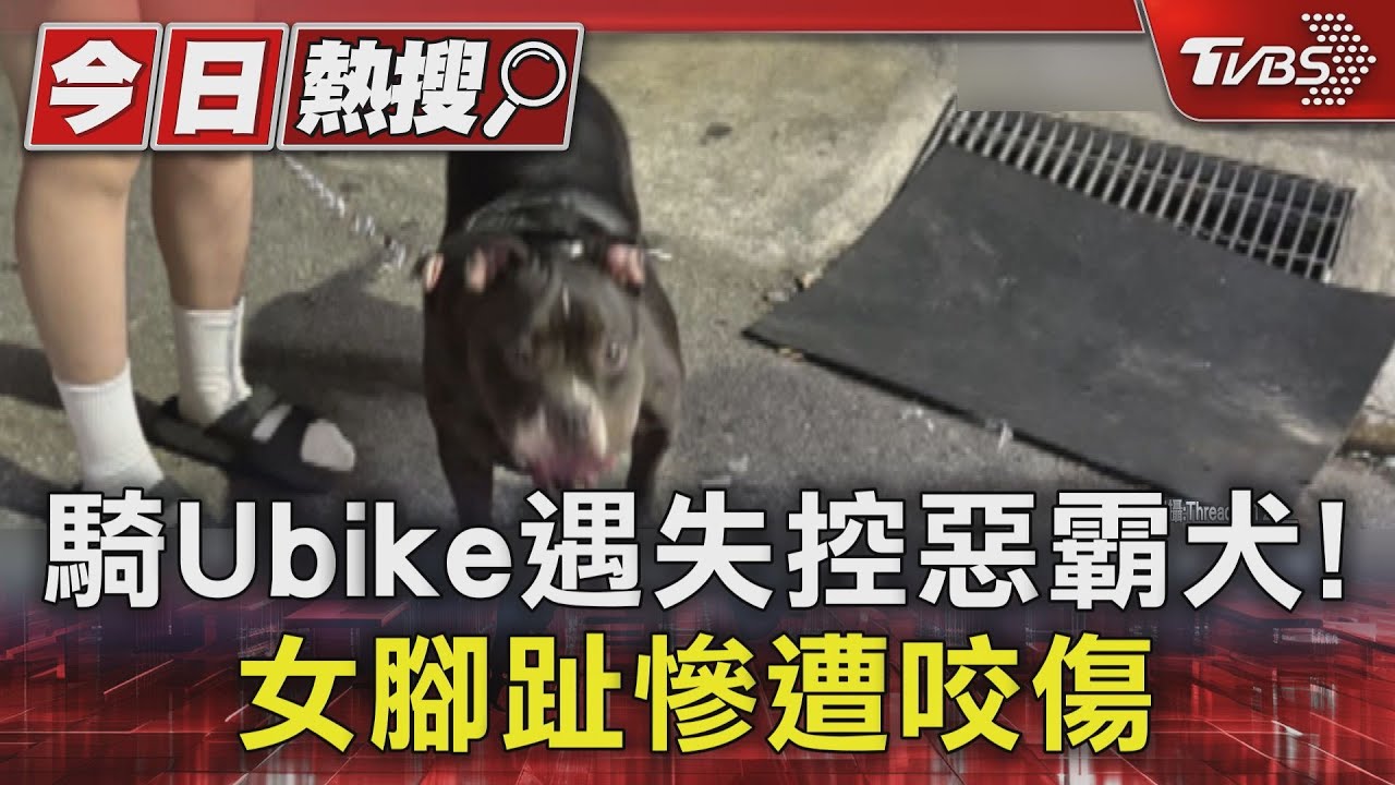 惡霸犬突襲!女子腳趾遭咬「腳指甲剝離」 求償15萬遭飼主拒