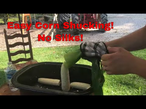 SHUCKING CORN THE EASY WAY!!      FREEZER CORN