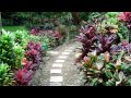 Roselight Meditation One - Julie O Rose
