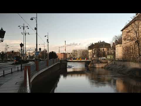 Fishy & Nostre - Bloom