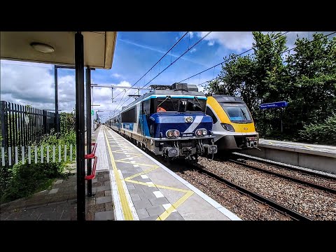 Surprise! The 'Dinner Train' suddenly passes Nieuw-Vennep - Fly-by -