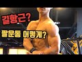 팔운동은 무조건 슈퍼세트여