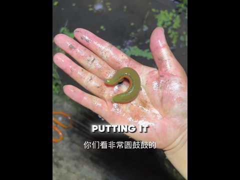 He Grabbed a Yellow Snake From the Drain… BIG Mistake! 😱🪣