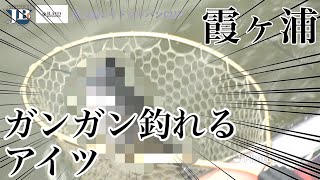 2022JBII霞ヶ浦　第２戦レイドジャパンCUP　飯田秀明ペア