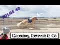 FOLGE 40 News Und Tipps Zum Training Von Deinem Ersten Pferd