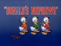 Donald Duck Donald S Nephews 1938 RKO Titles