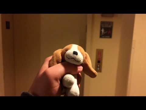 3rd Northwestern/Dover Hydraulic Elevator @ Stone Harbor Resort, Sturgeon Bay, WI