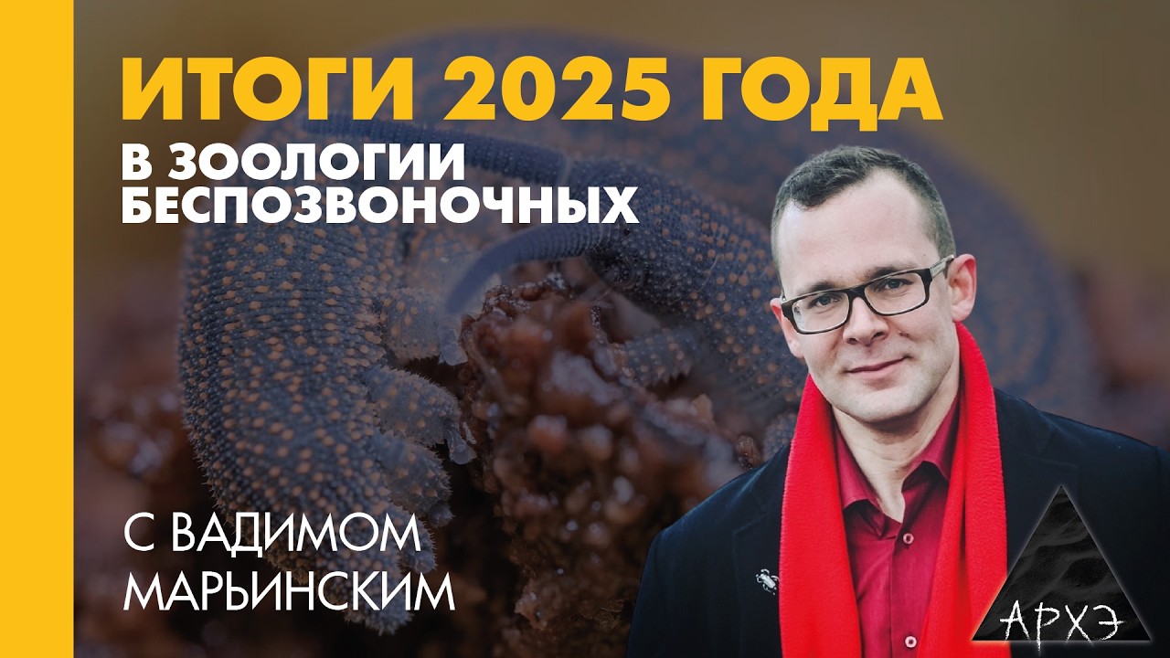 Вадим Марьинский: Итоги 2025 года в зоологии беспозвоночных