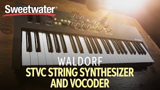 Video thumbnail for Waldorf STVC String Synthesizer and Vocoder — Daniel Fisher by Sweetwater