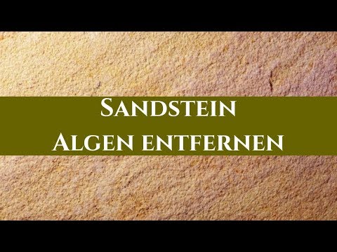 Algen und Moos entfernen  Sandstein Reinigung  Stein Doktor Hamburg