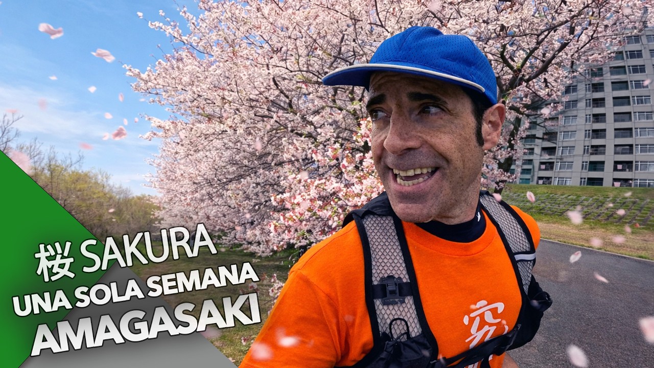 SAKURA EN JAPÓN: BELLEZA QUE SOLO DURA UNA SEMANA