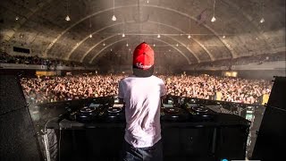 Avicii Net Worth