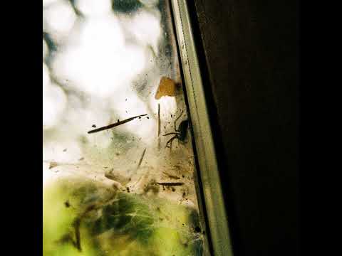 One Year From Now - exociety