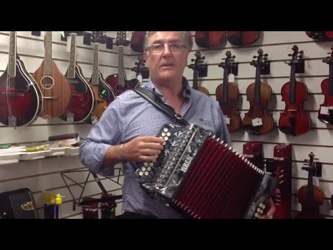 Wren Accordion by McNeela Music