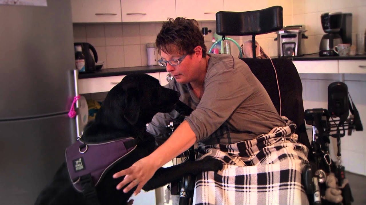 still uit video van Brenda met haar assistentiehond Zola