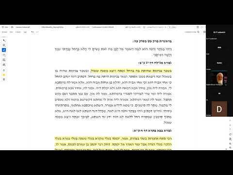 Endangering Others to Save Yourself | Shiur by Rav Asher Weiss Shlit"a
