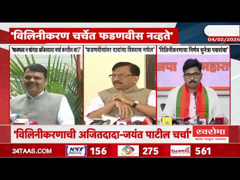 Sharad Pawar On NCP Merger | 'विलीनीकरण चर्चेत फडणवीस नव्हते' शरद पवारांचा पलटवार