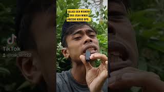 Download lagu Kata-kata bijak Bahasa jawa #storywa #ambyar #jawatengah #motivation #storywa30detik #fypシ #fyp mp3