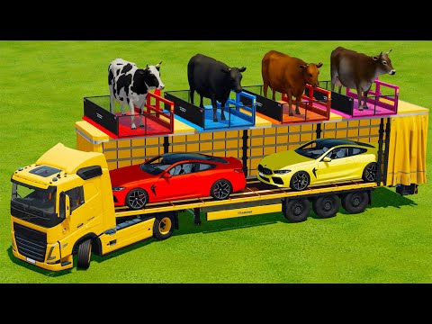 LOAD AND TRANSPORT COWS & BMW M8 WITH VOLVO TRUCK - Farming Simulator 22