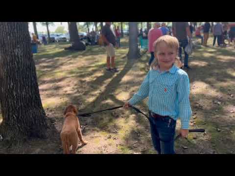 The Summertown bluegrass festival and the county fair