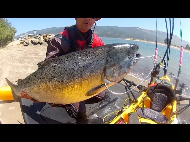 California Coast Monster Kayak King Salmon fishing