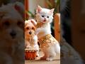 Viral Cats And Dogs Dance Cat Dog Puppy Dogdance Puppydance Catdance