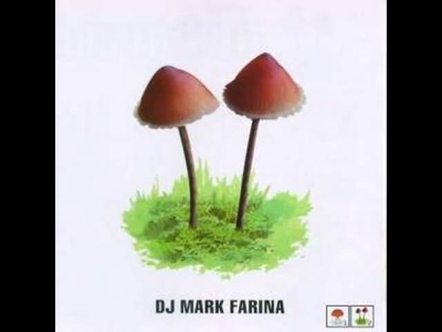 Conoce la historia y el estilo musical del artista Mark Farina