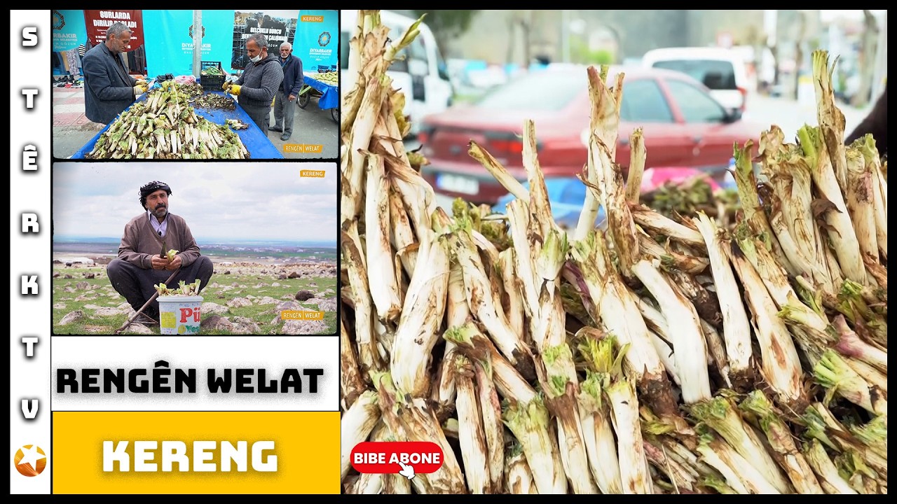 Rengên Welat - Kereng