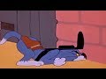 Tom And Jerry Tall In The Trap