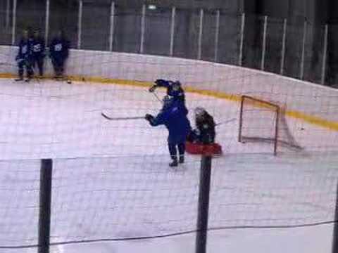 Adler Mannheim Training 02-08-2006