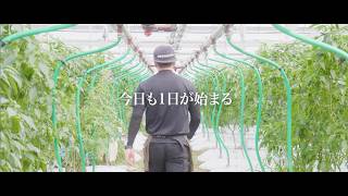 高知県農業プロモーション動画（ショート編）「Be Farmer　農家として高知で暮らす。」