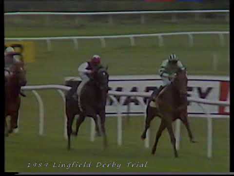1989 Lingfield Derby Trial Cacoethes