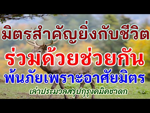 คลิกเพื่อดูคลิปวิดีโอ