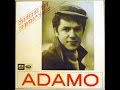Mi Gran Noche Salvatore Adamo Con Letra