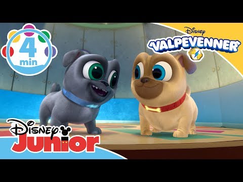 Valpevenner | Valpevenners musikkmedley! 🎶- Disney Junior Norge