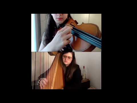 Ensemble Myricae Arpa, flauto e violino Padova Musiqua