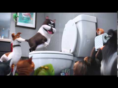 The Secret Life of Pets (Sneak Peek)