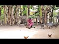 I Beg You Do Your Best To Watch This Very Interesting Village Movie With A Good Ending African Movie