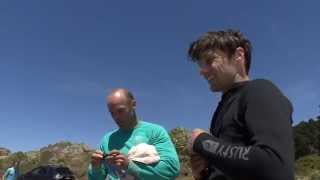 Wellington Kiteboarders Say...