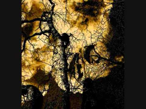 The Vagitarians - Shallow Grave