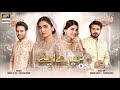 Mere Apne Ost | Shani Arshad | ARY Digital