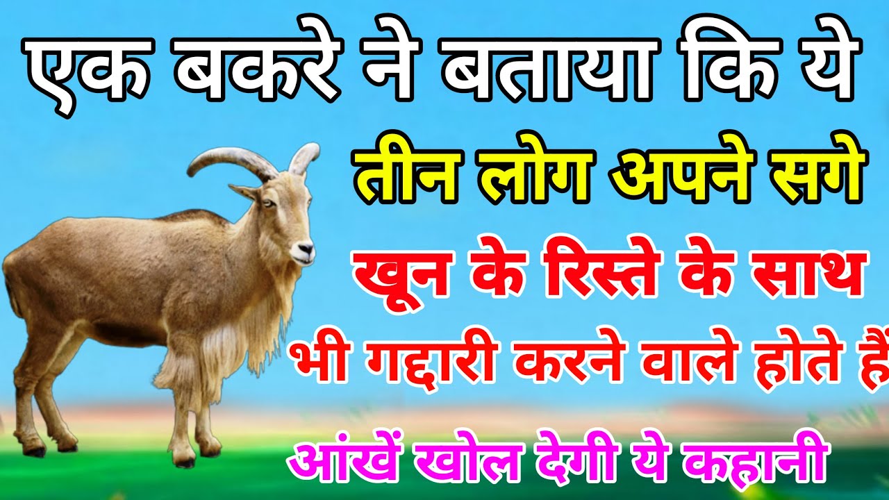 एक बकरे ने बताया कि ये 3 लोग अपने सगे खून के रिस्ते के साथ भी गद्दारी करने वाले होते हैं!| Dhokebaaz