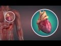Animal Tissues Class 9 Tutorial