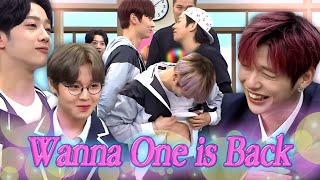 Download lagu Wanna One is Back After 7 Years?? Hilarious Moments Compilation 🤣🤣🤣 mp3