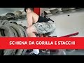 ALLENAMENTO DORSO - Back Day