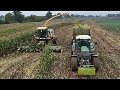 Maishäckseln '21, Hof Dibbern, Dosenbek // LU A.Wiese