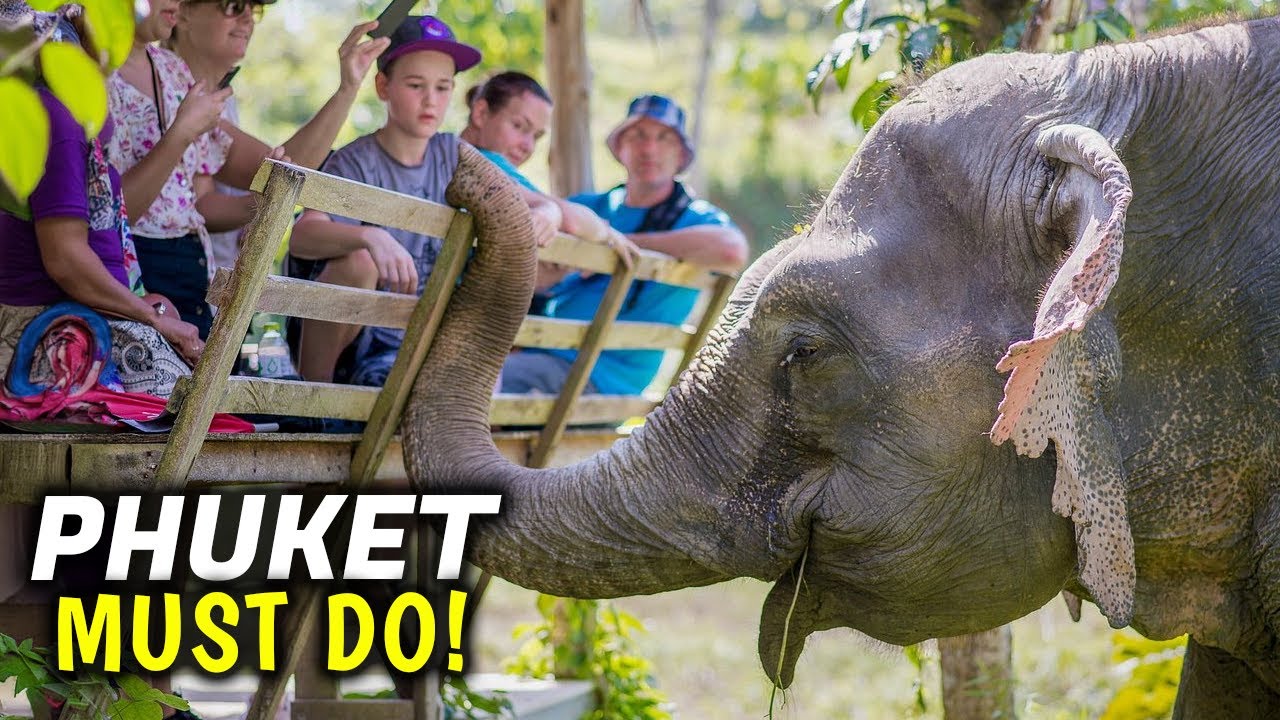 Discover the highlights of Phuket Elephant Sanctuary.